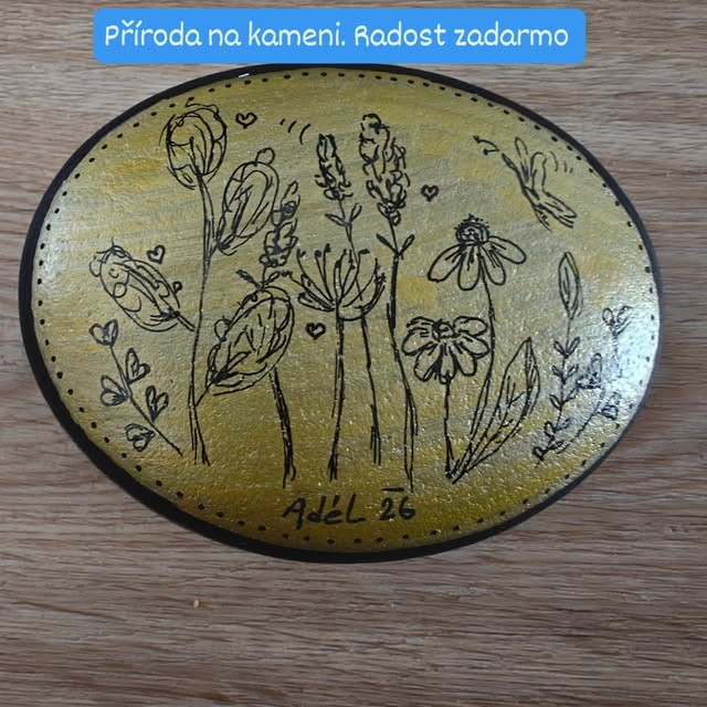 Tichá louka — malovaný kamínek